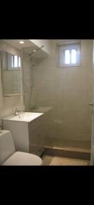 布拉索夫的住宿－Summer，一间带卫生间、水槽和镜子的浴室