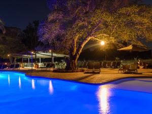 einen Pool mit einem Baum mit blauen Lichtern in der Unterkunft Waterberg Game Park in Mokopane