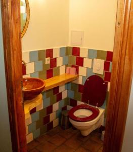 a bathroom with a toilet and a sink at Casa Batrana in Zece Hotare