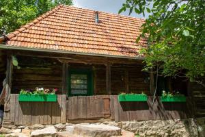 ein Holzhaus mit zwei grünen Fenstern und Blumen in der Unterkunft Casa Batrana in Zece Hotare