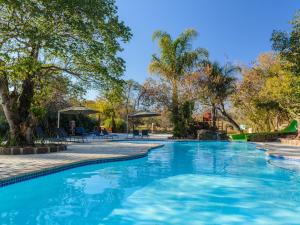 einen Pool in einem Resort mit Bäumen in der Unterkunft Waterberg Game Park in Mokopane