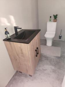 a bathroom with a sink and a toilet at Bella Casetta at Village-Living in Koringberg