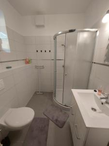 La salle de bains est pourvue d'une douche, de toilettes et d'un lavabo. dans l'établissement Forrás Apartman, à Egerszalók