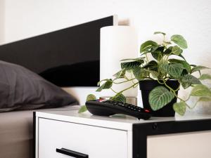 a remote control on a night stand with a plant on it at Work & stay in Ahrensburg in Ahrensburg