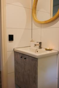 een badkamer met een wastafel en een spiegel bij De Bosuil in Zuidwolde