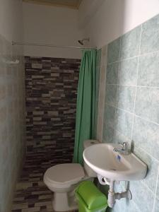 a bathroom with a sink and a toilet and a green shower curtain at Alojamiento la esmeralda in Puerto Triunfo