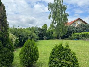 un patio con dos arbustos y un árbol y una casa en Bubble Apartman, en Kozármisleny