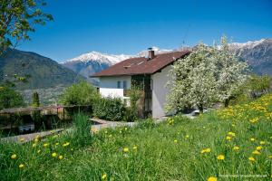 a house in a field with mountains in the background at Ferienwohnung Spiess in Merano