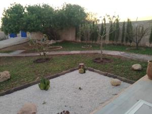 un jardín con un árbol y algunas frutas en el suelo en Villa DAR MAMA, en Essaouira