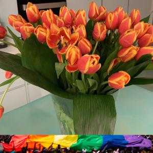 a vase of orange tulips sitting on a table at Luxury Village Tiana in Tiana
