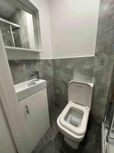 a small bathroom with a toilet and a sink at Gladys’ Apartment in Ponders End