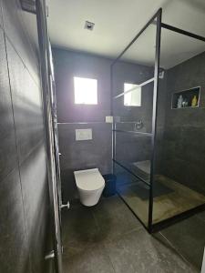 een badkamer met een toilet en een glazen douche bij Gezinswoning met gratis parkeren in Delft