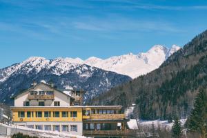 Almi's Berghotel im Winter