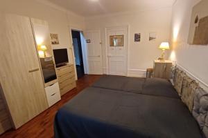 a bedroom with a large bed and a television at Appartement dans Maison in Plainfaing