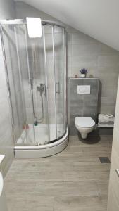 uma casa de banho com um chuveiro e um WC. em Apartman Polaris Posušje em Posušje