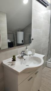 uma casa de banho com um lavatório e um espelho em Apartman Polaris Posušje em Posušje