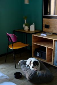 a dog laying in a dog bed in a room at The Poet Hotel in La Spezia
