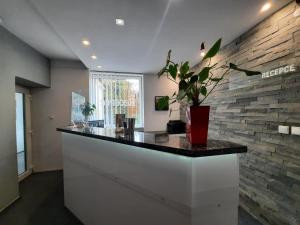 a lobby with a counter with a plant on it at Hotel Boršičanka in Havířov