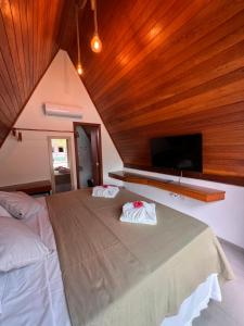 1 dormitorio con 1 cama grande y TV de pantalla plana en Pousada Primavera, en Mucugê