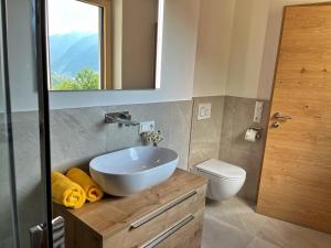 La salle de bains est pourvue d'un lavabo, de toilettes et d'un miroir. dans l'établissement Alpenstern Apartment Montafon, à Sankt Gallenkirch