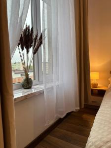 Un dormitorio con una ventana con una planta en un jarrón en Apartament Piaskowy Kołłątaja, en Tomaszów Mazowiecki