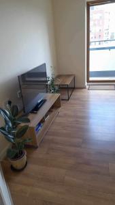 a living room with a television and a potted plant at One bedroom with Great city views in London