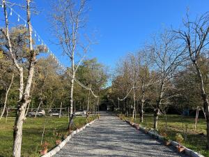 Fotografie z fotogalerie ubytování Topchu Forest Ismayilli v destinaci Topçu