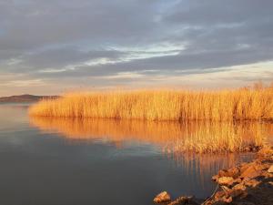 Loodusmaastik apartemendi lähedal
