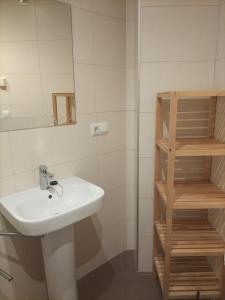 La salle de bains est pourvue d'un lavabo, d'un miroir et d'une étagère. dans l'établissement ALTUNAHOME, à Mutriku
