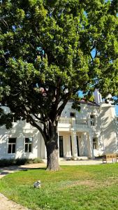 Imagen de la galería de Zámek Jenišovice, en Býkev