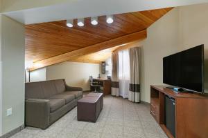 sala de estar con sofá y TV de pantalla plana en Comfort Inn & Suites Near University of Wyoming, en Laramie