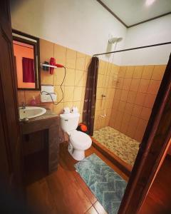 a bathroom with a toilet and a sink and a shower at Ceiba lodge in Drake