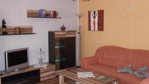 ein Wohnzimmer mit einem Sofa und einem TV in der Unterkunft Otterbau in Belgern