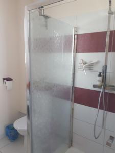 uma cabina de duche em vidro numa casa de banho com WC em Le Cocon d'Alsace em Folgensbourg