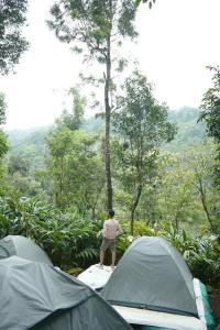 un hombre parado frente a dos tiendas de campaña en Willow Creek en Wayanad