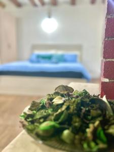 a plate of food on a table in a room at RESIDENCE ZAR - 2 in Trieste +14 photos