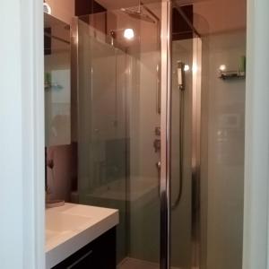 La salle de bains est pourvue d'une douche avec une porte en verre. dans l'établissement Les Hortensias, à Bénodet