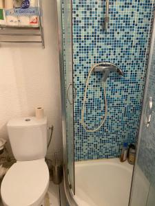 ein Badezimmer mit Dusche, Toilette und Waschbecken in der Unterkunft T 2 cosy bord de mer in Le Barcarès