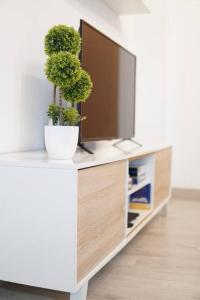 uma televisão num armário com um vaso de plantas em Casa Fausto Lasarte-oria em Lasarte-Oria