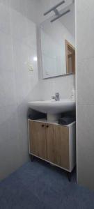 uma casa de banho com um lavatório e um espelho em Casa Fausto Lasarte-oria em Lasarte-Oria