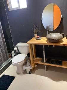 a bathroom with a toilet and a sink and a mirror at Cabañas Guanaqueros Arriendo Diario in Guanaqueros