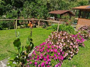 un jardín con flores rosas y cenador en Casa da floresta, en Bocaina de Minas