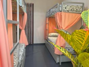 Postel nebo postele na pokoji v ubytování Amely Hostel