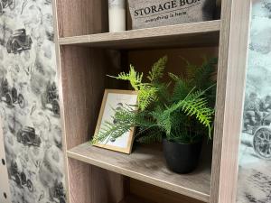 Fotografie z fotogalerie ubytování Amely Hostel v Kyjevě