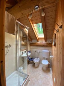 a bathroom with a shower and a toilet and a sink at B&B Marcellina in Bard