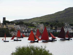 a group of sailboats with red sails in the water at Roundstone Quay House in Roundstone