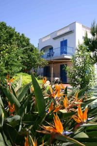 a house with a lot of flowers in front of it at Aparthotel Villa Marinù in Ischia
