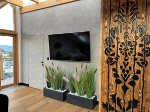 sala de estar con TV en una pared con plantas en ROYAL HILL II, en Białka Tatrzanska