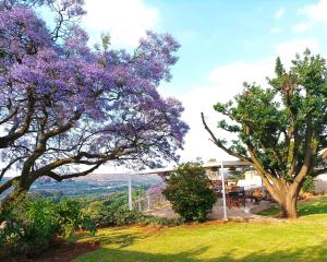 un grupo de árboles con flores púrpuras en un campo en Fishbird Art Deco Villa, en Johannesburgo