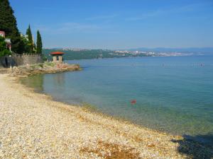 a beach with a red ball in the water at Villa Raisa in Opatija